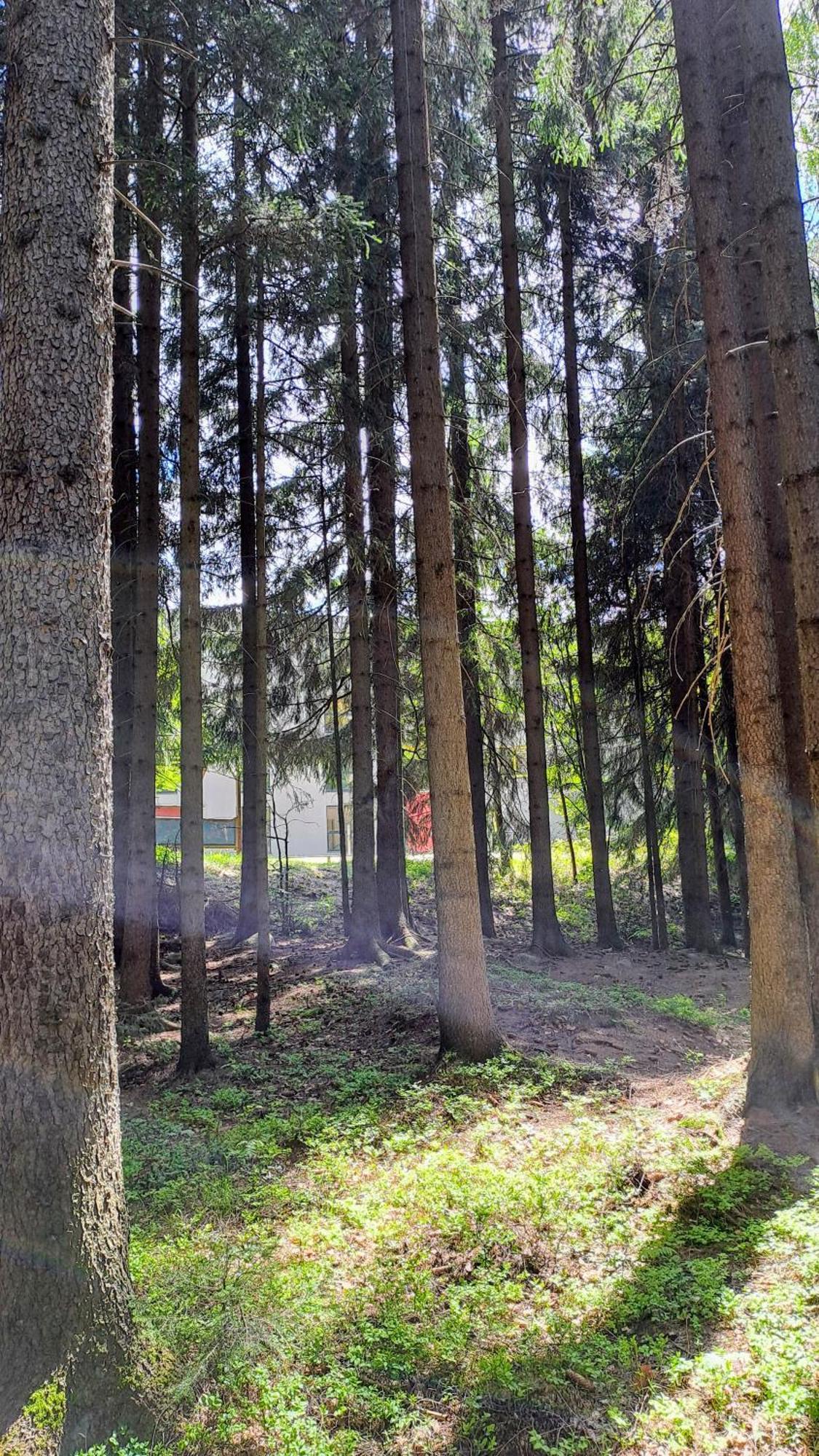 Plne Vybaveny Apartman Pod Mumlavskym Vodopadem, Zahrada S Ohnistem, Idealni Vychozi Bod Pro Turistiku, U Cesty Na Hrebeny, Kousek Do Centra, Absolutni Klid, Vybaveny I Pro Deti, Wellness A Fitko Naproti 하라포프 외부 사진